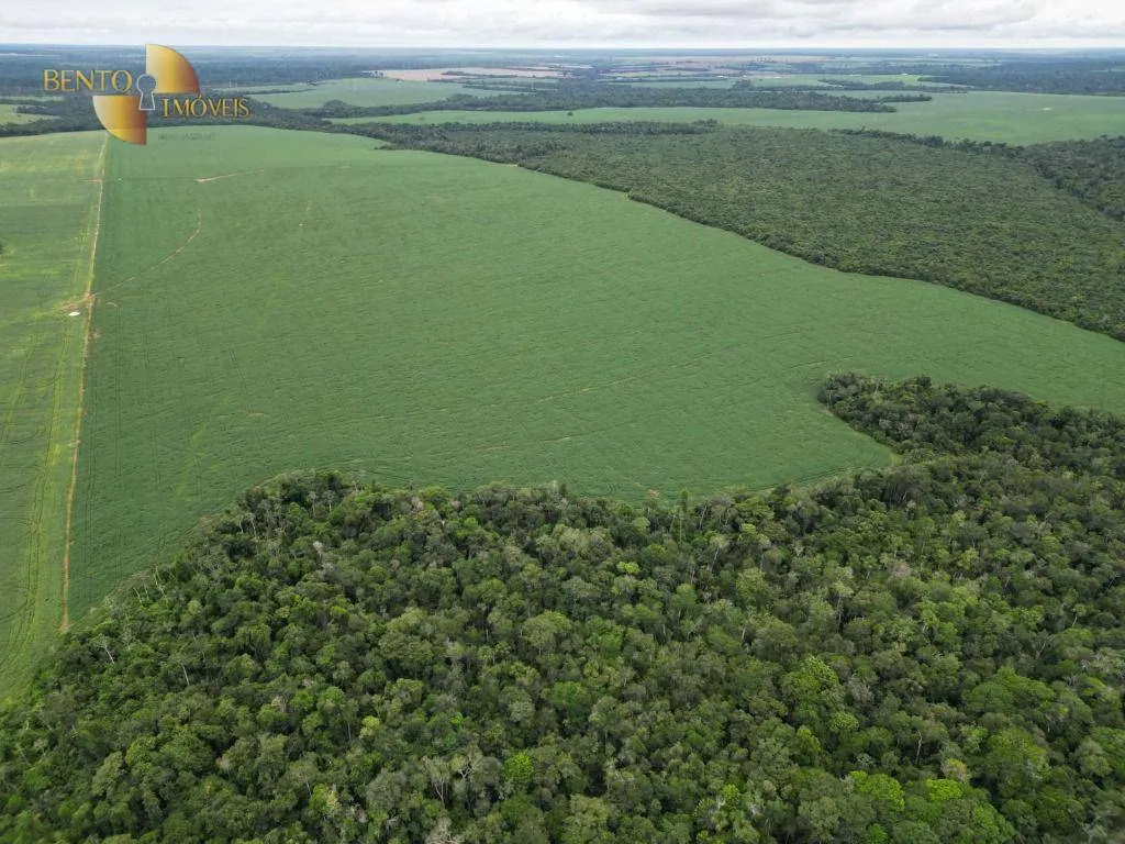 Fazenda à venda e para Arrendar de 497 ha em Tapurah, MT, Brasil