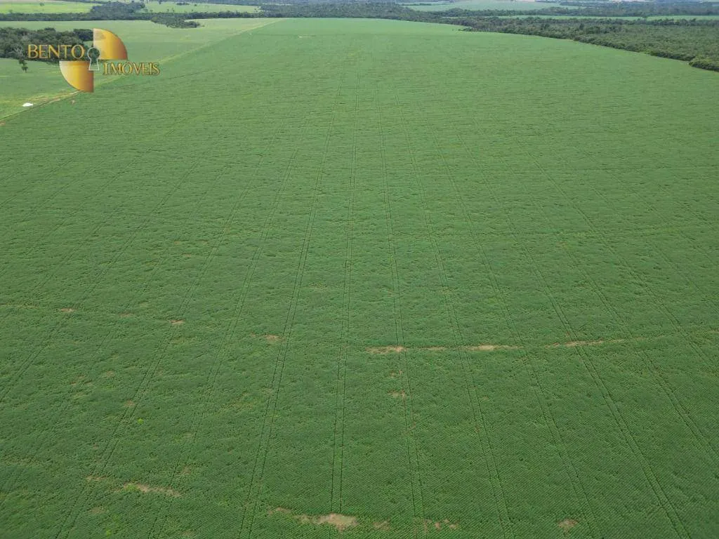 Fazenda à venda e para Arrendar de 497 ha em Tapurah, MT, Brasil