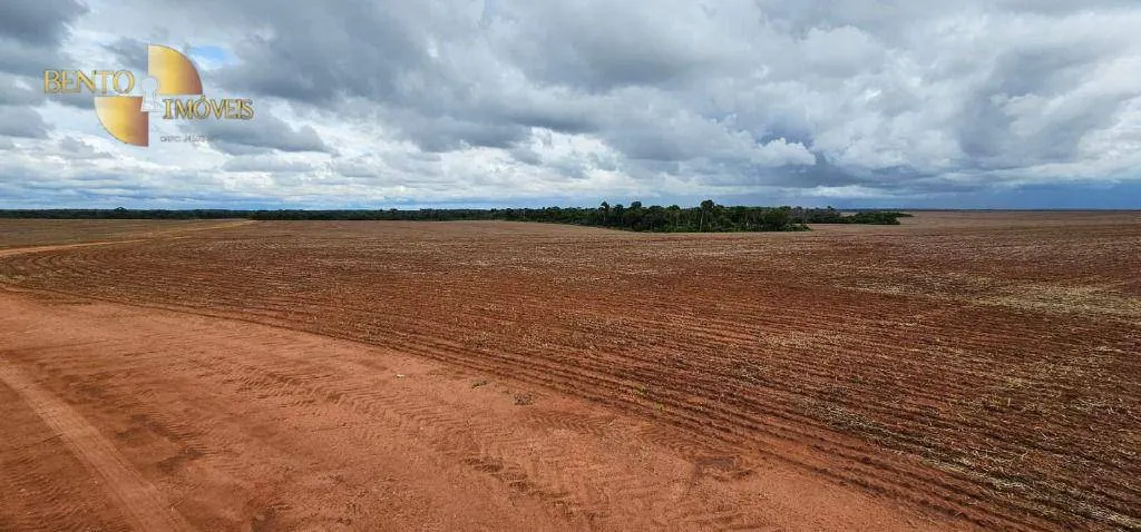 Fazenda à venda e para Arrendar de 497 ha em Tapurah, MT, Brasil