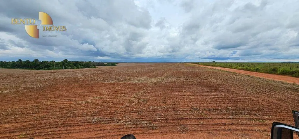 Fazenda à venda e para Arrendar de 497 ha em Tapurah, MT, Brasil