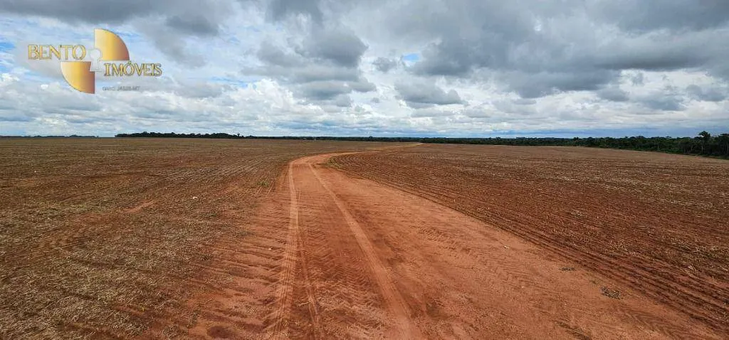 Fazenda à venda e para Arrendar de 497 ha em Tapurah, MT, Brasil