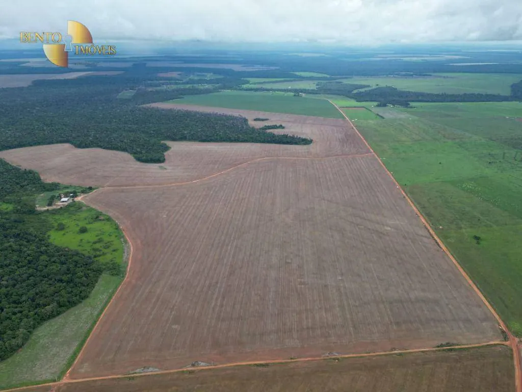 Fazenda à venda e para Arrendar de 497 ha em Tapurah, MT, Brasil