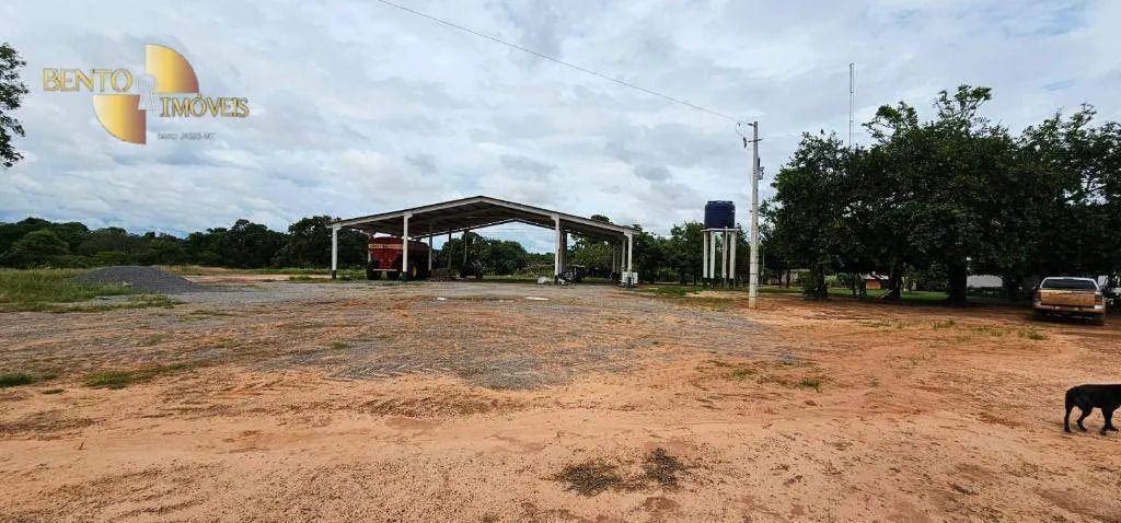 Fazenda à venda e para Arrendar de 497 ha em Tapurah, MT, Brasil