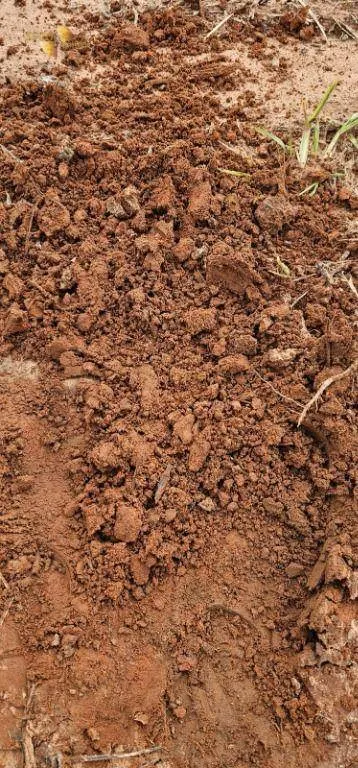 Fazenda à venda e para Arrendar de 497 ha em Tapurah, MT, Brasil