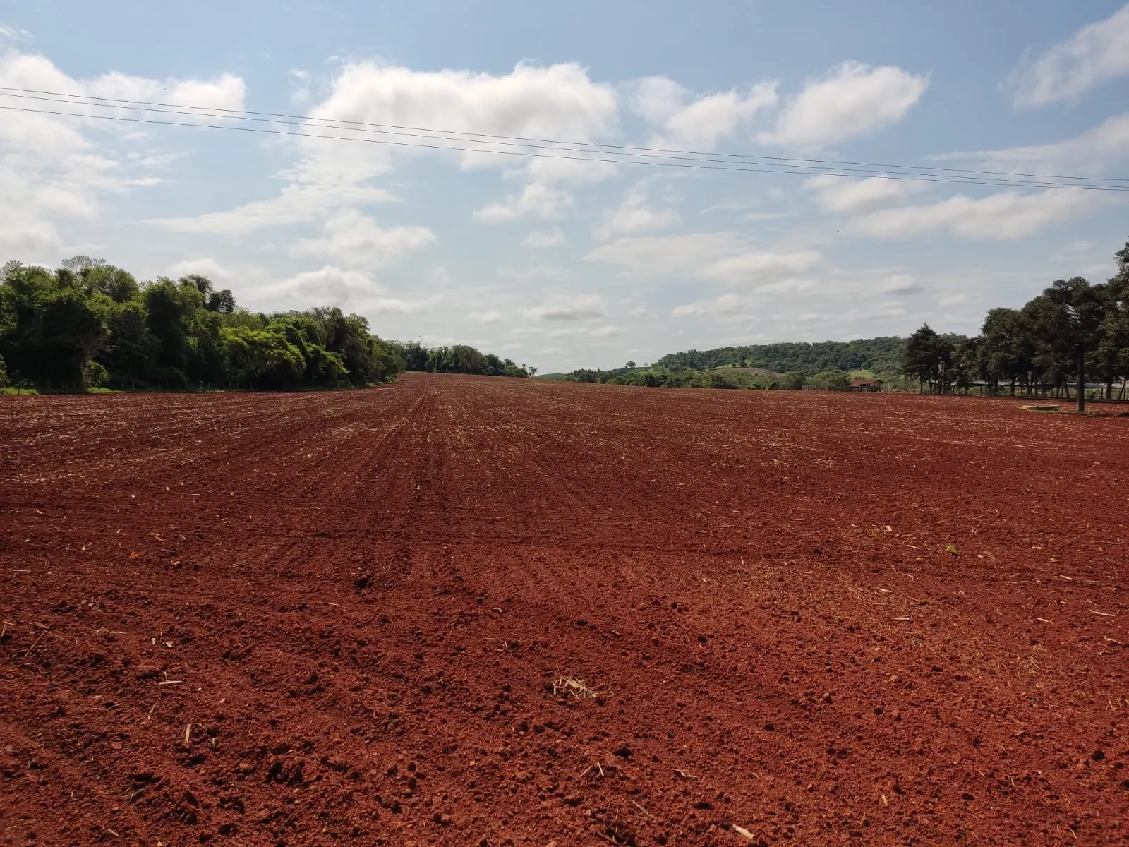 Fazenda à venda de 167 ha em Itapetininga, SP, Brasil