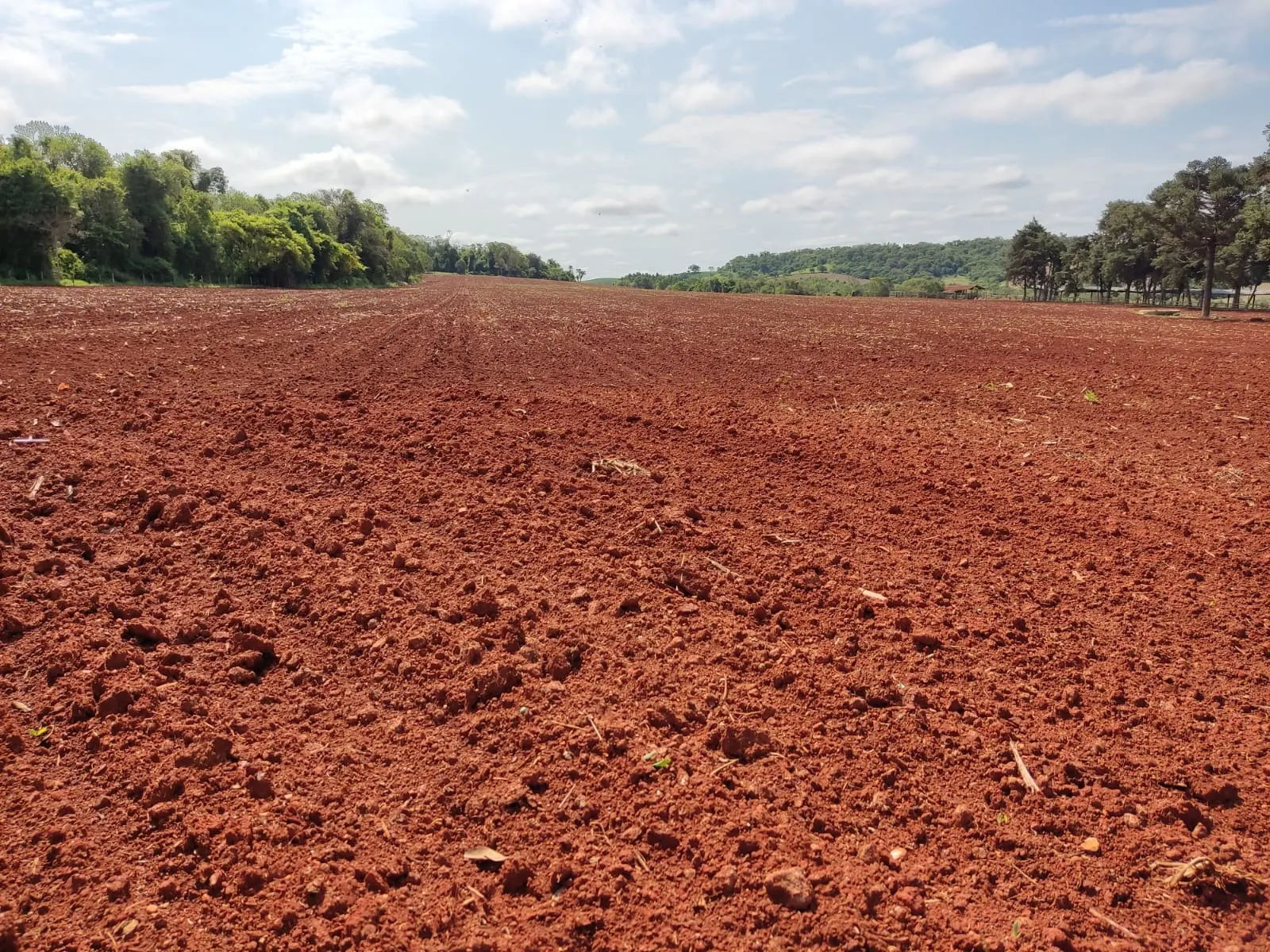 Fazenda à venda de 167 ha em Itapetininga, SP, Brasil