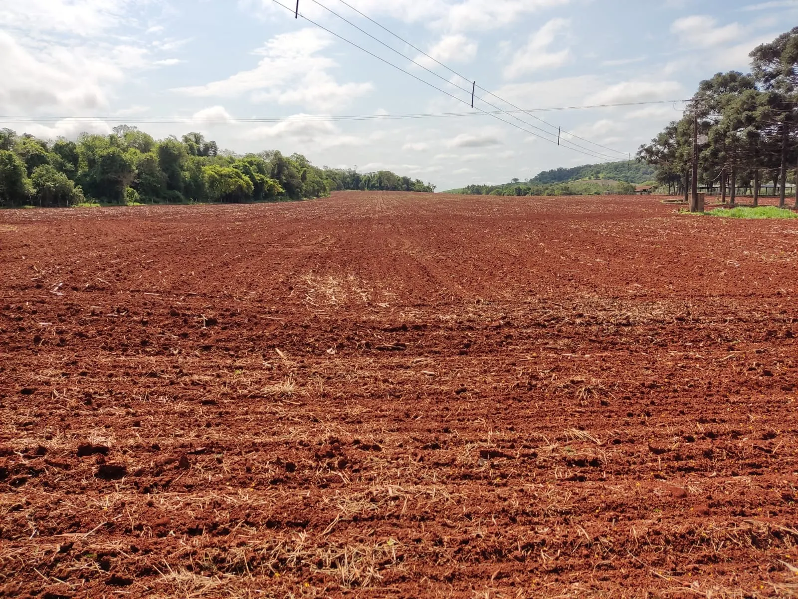 Fazenda à venda de 167 ha em Itapetininga, SP, Brasil