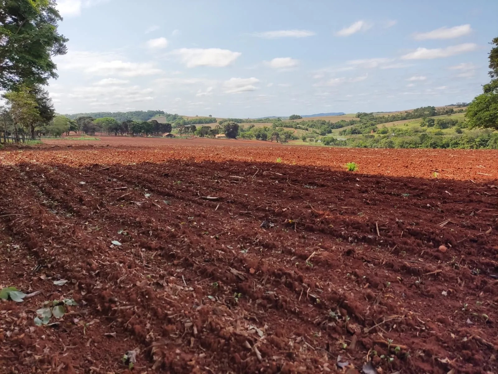 Fazenda à venda de 167 ha em Itapetininga, SP, Brasil