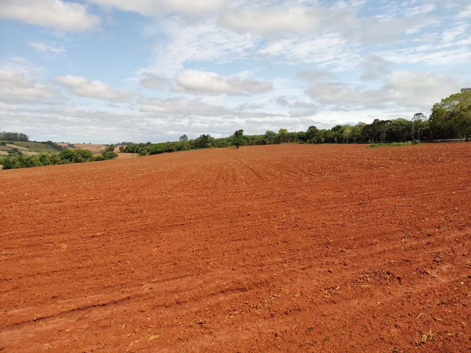 Fazenda à venda de 167 ha em Itapetininga, SP, Brasil