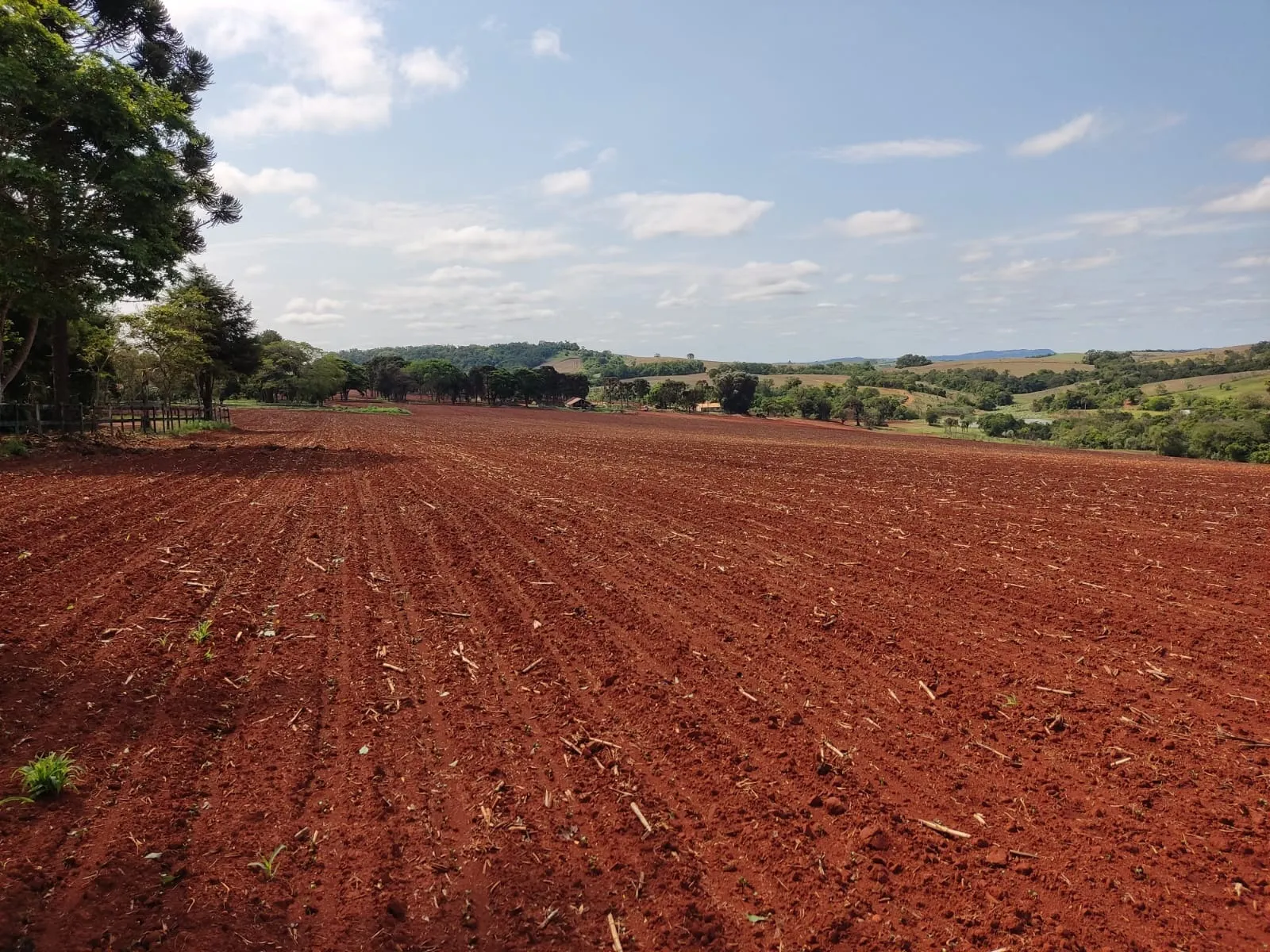 Fazenda à venda de 167 ha em Itapetininga, SP, Brasil