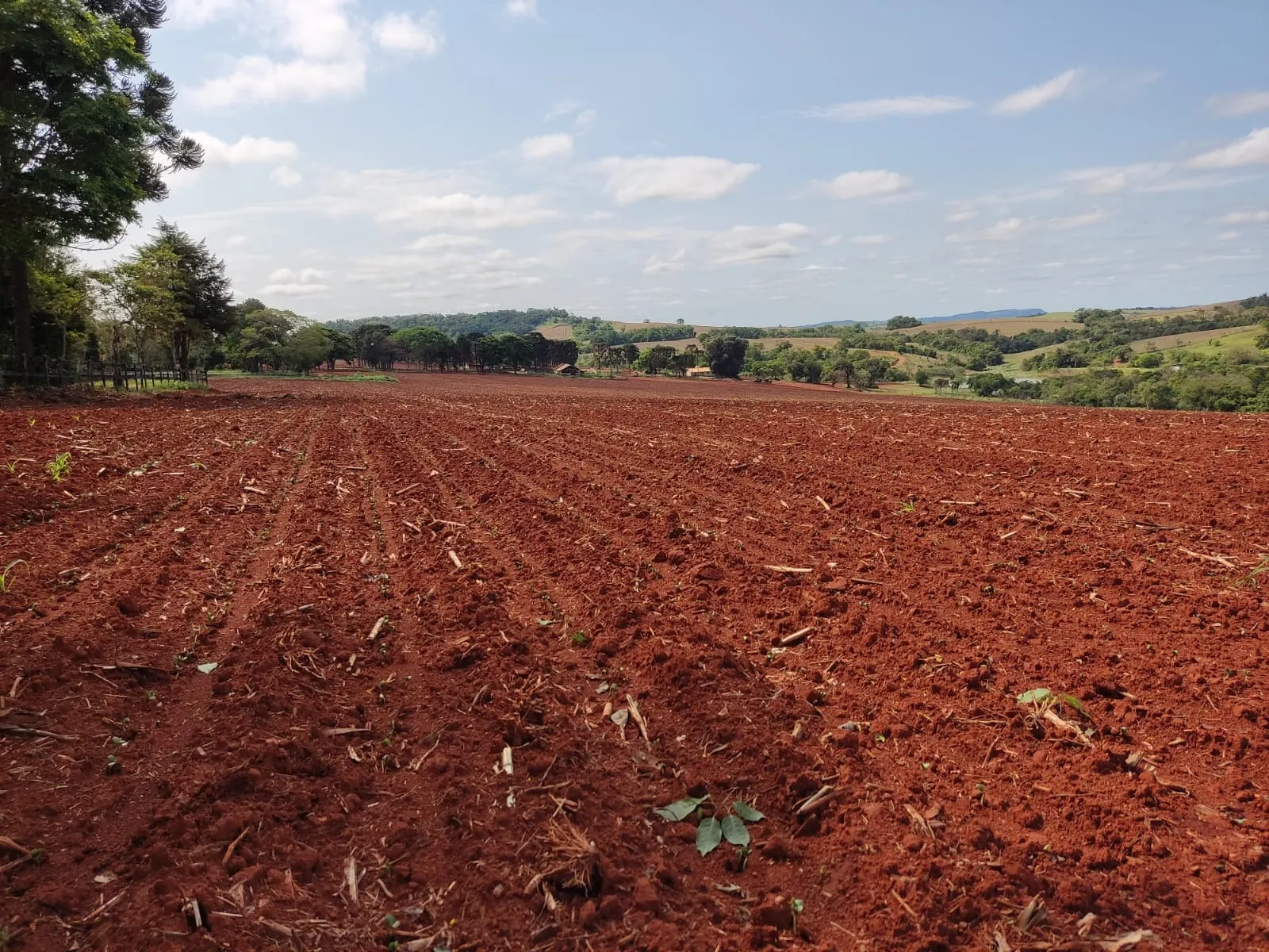 Fazenda à venda de 167 ha em Itapetininga, SP, Brasil