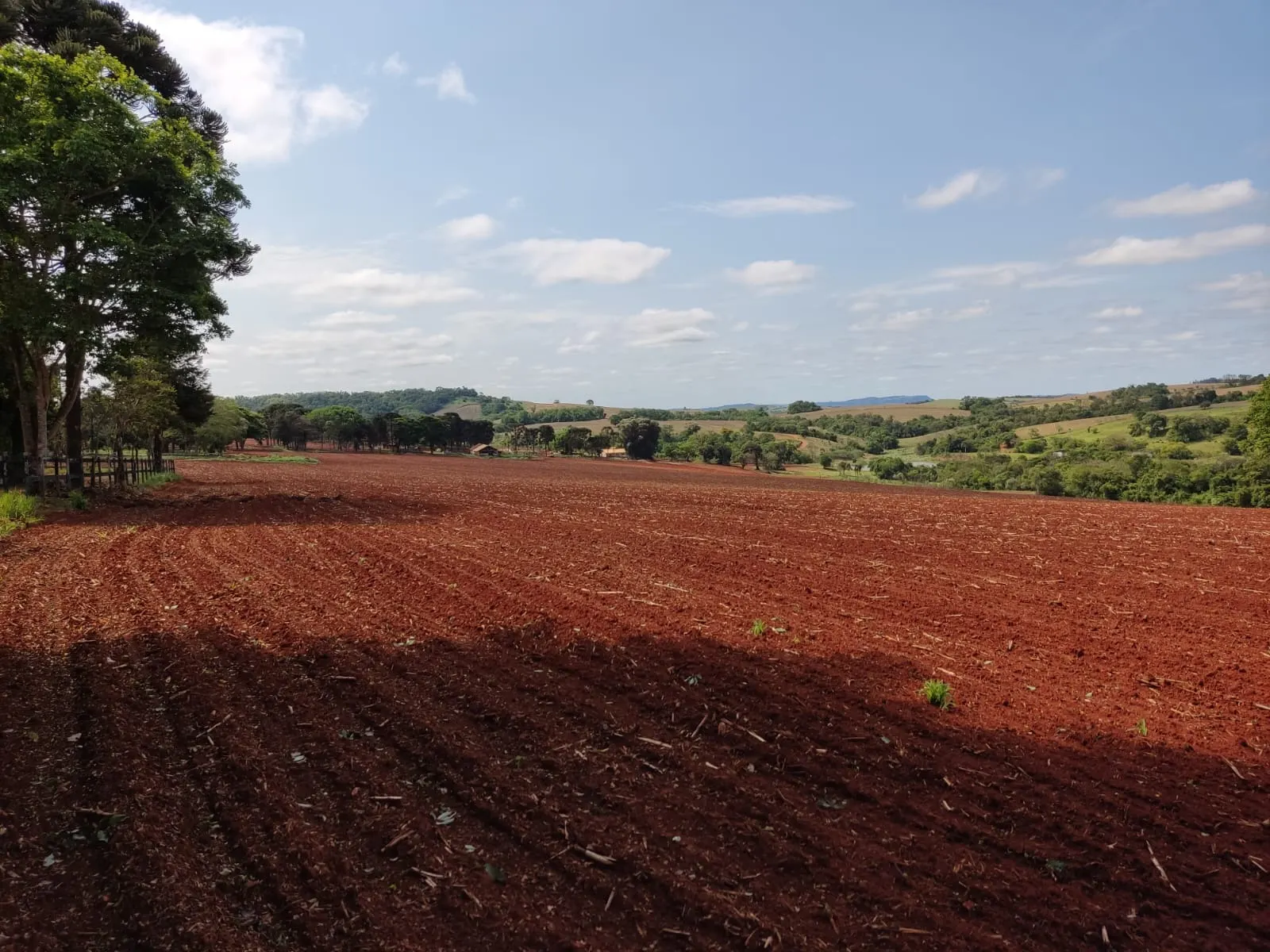 Fazenda à venda de 167 ha em Itapetininga, SP, Brasil