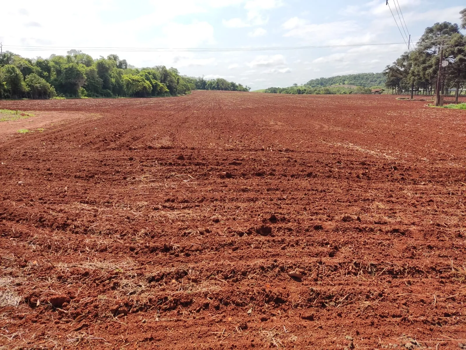 Fazenda à venda de 167 ha em Itapetininga, SP, Brasil