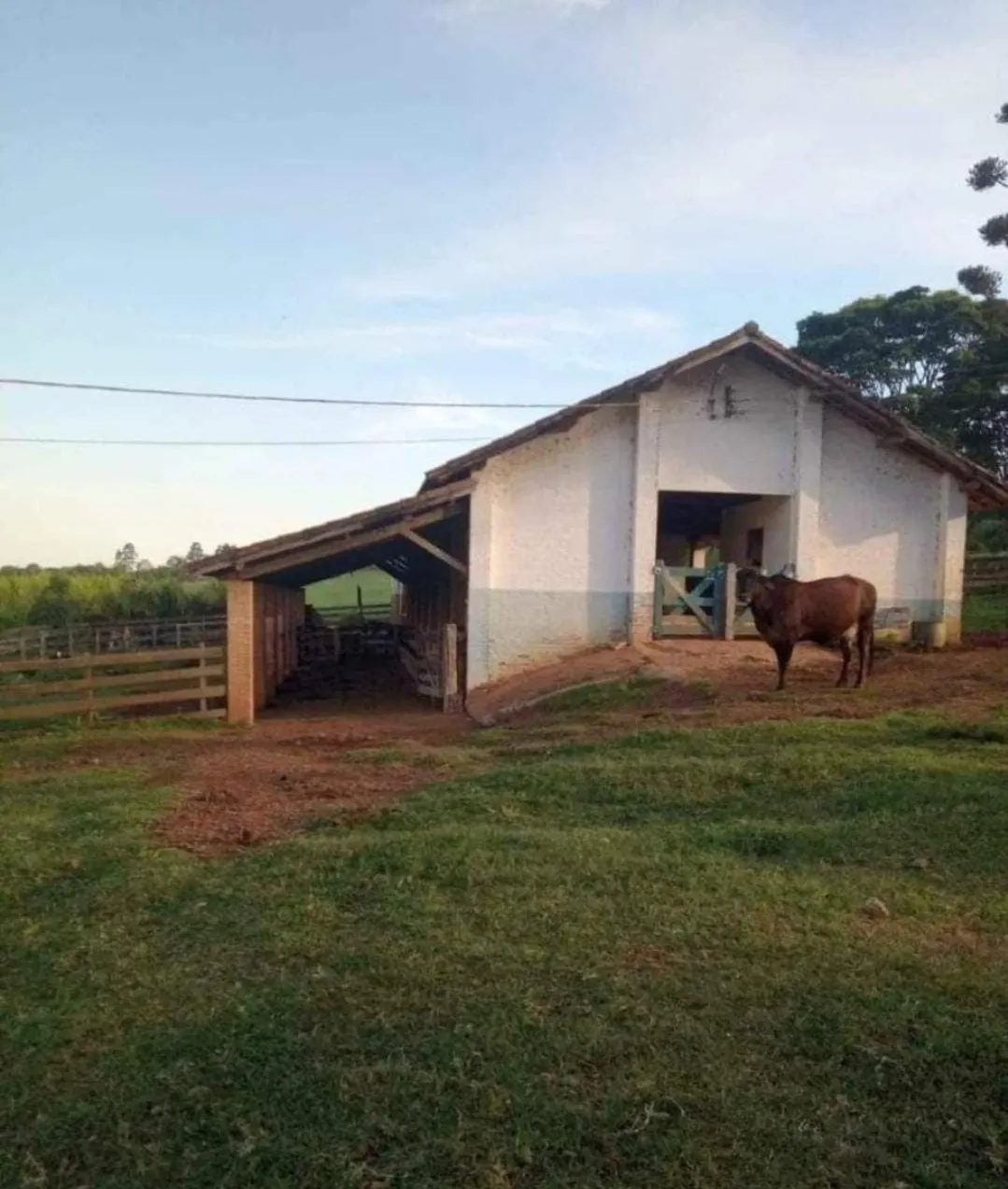 Fazenda à venda de 167 ha em Itapetininga, SP, Brasil