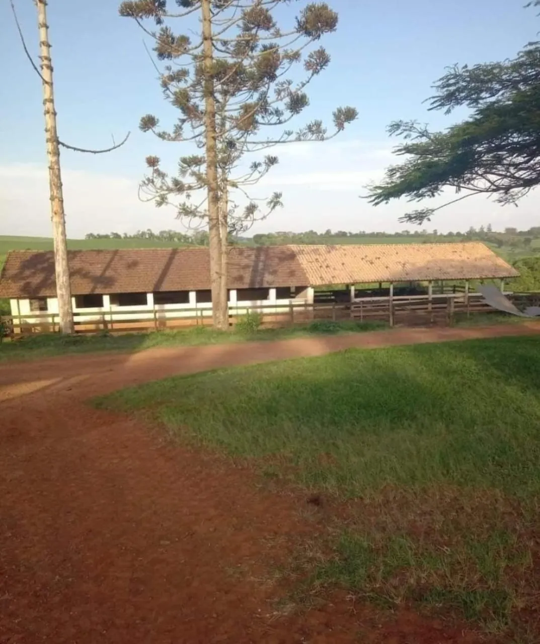 Fazenda à venda de 167 ha em Itapetininga, SP, Brasil