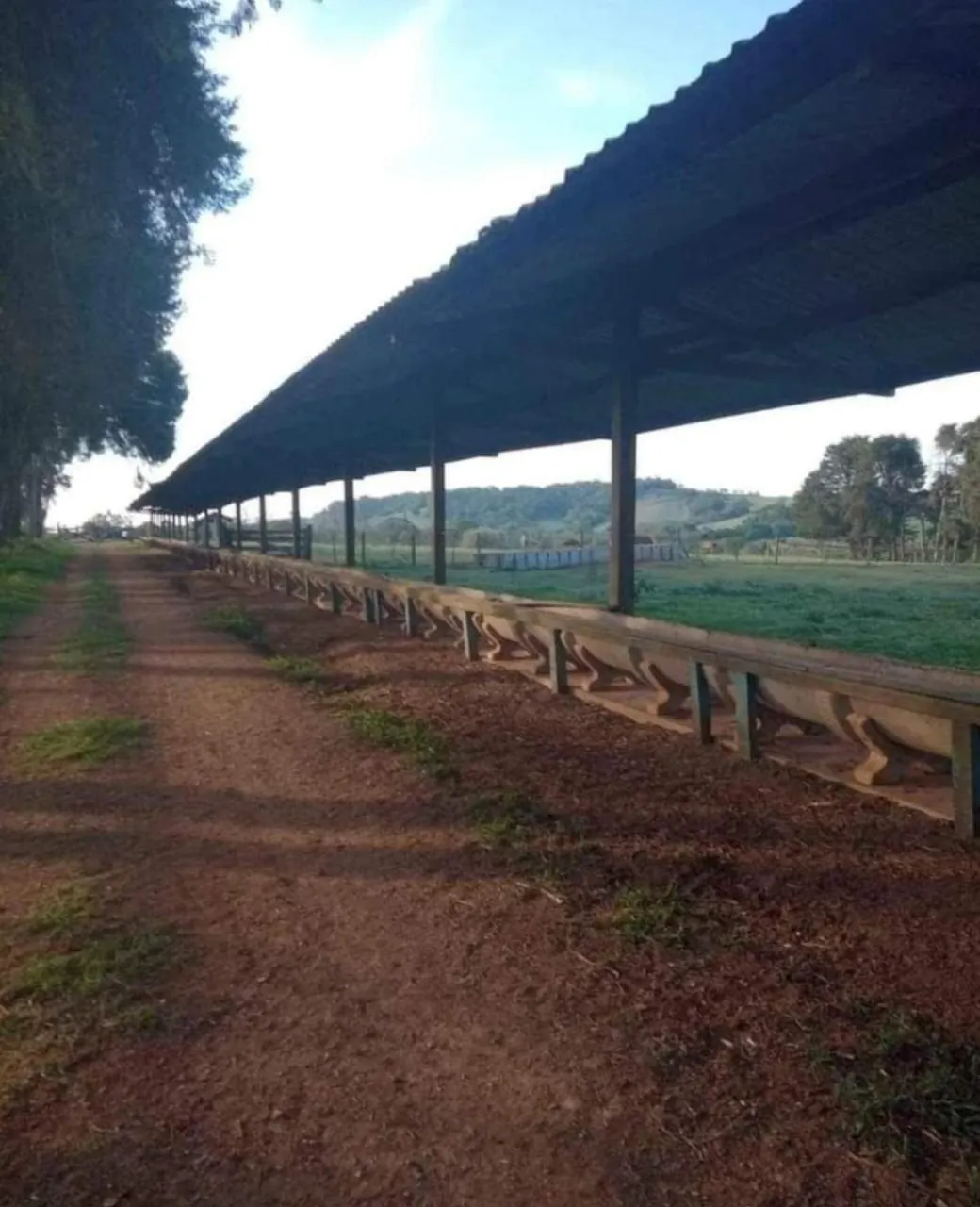 Fazenda à venda de 167 ha em Itapetininga, SP, Brasil