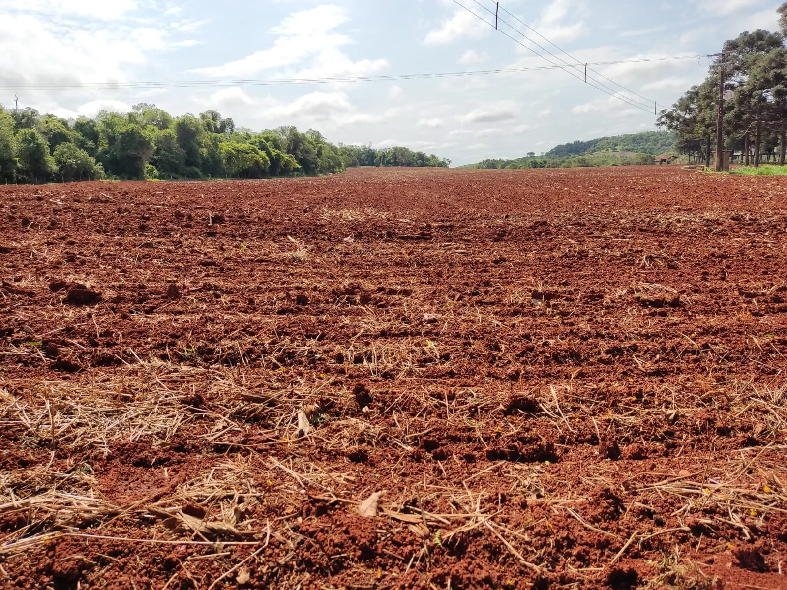 Fazenda à venda de 167 ha em Itapetininga, SP, Brasil