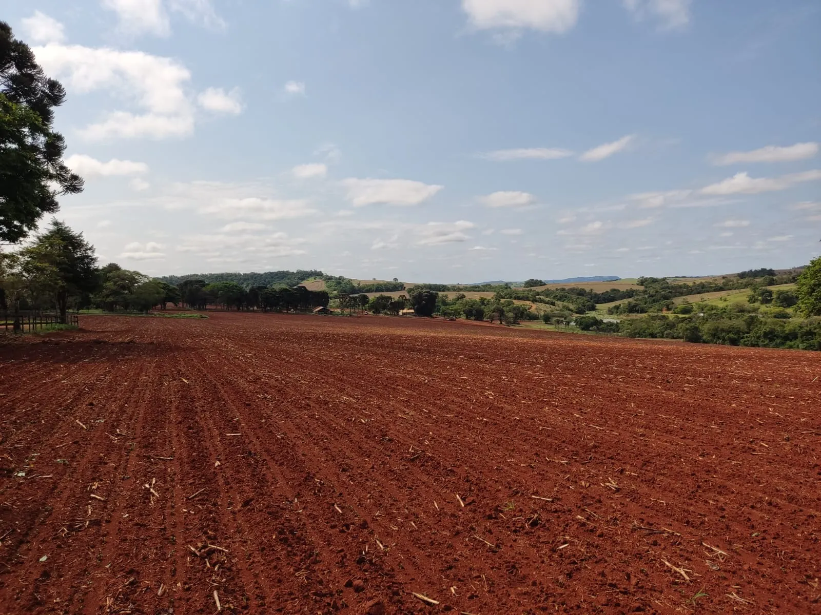 Fazenda à venda de 167 ha em Itapetininga, SP, Brasil