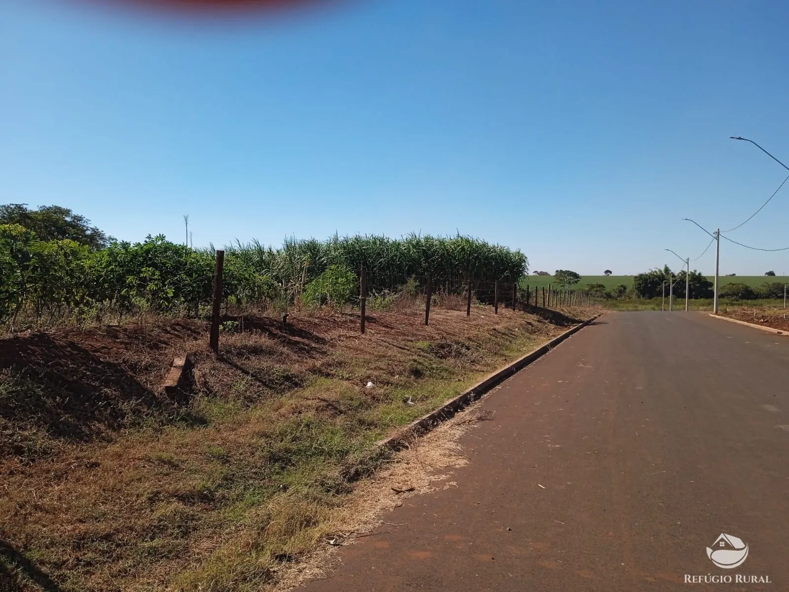 Sítio à venda de 4 ha em Miguelópolis, SP, Brasil