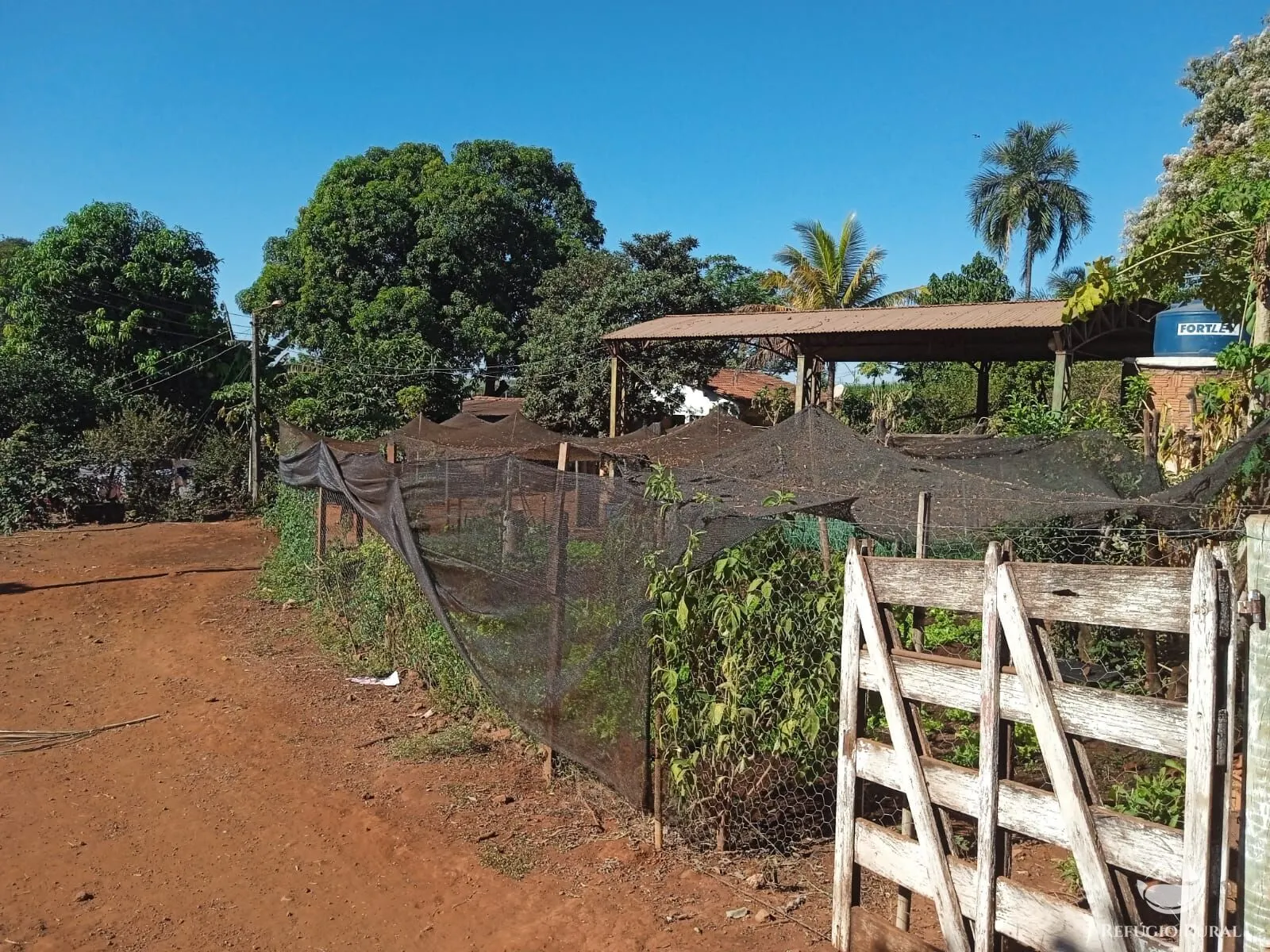 Sítio à venda de 4 ha em Miguelópolis, SP, Brasil