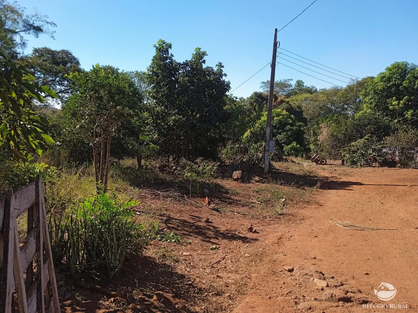 Sítio à venda de 4 ha em Miguelópolis, SP, Brasil