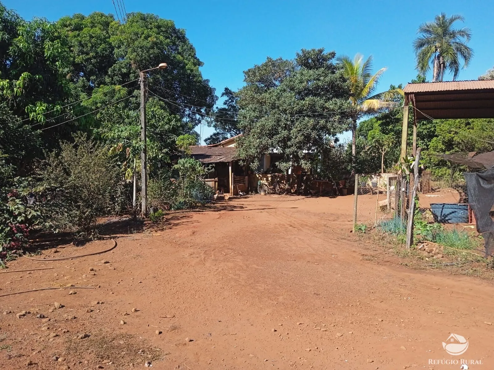 Sítio à venda de 4 ha em Miguelópolis, SP, Brasil