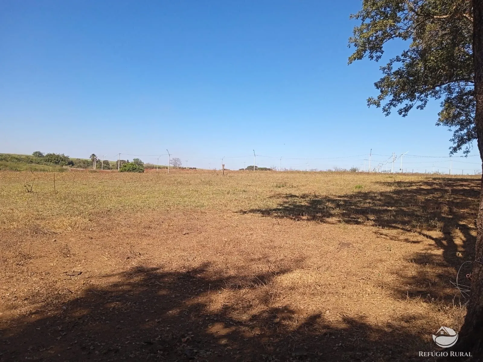 Sítio à venda de 4 ha em Miguelópolis, SP, Brasil