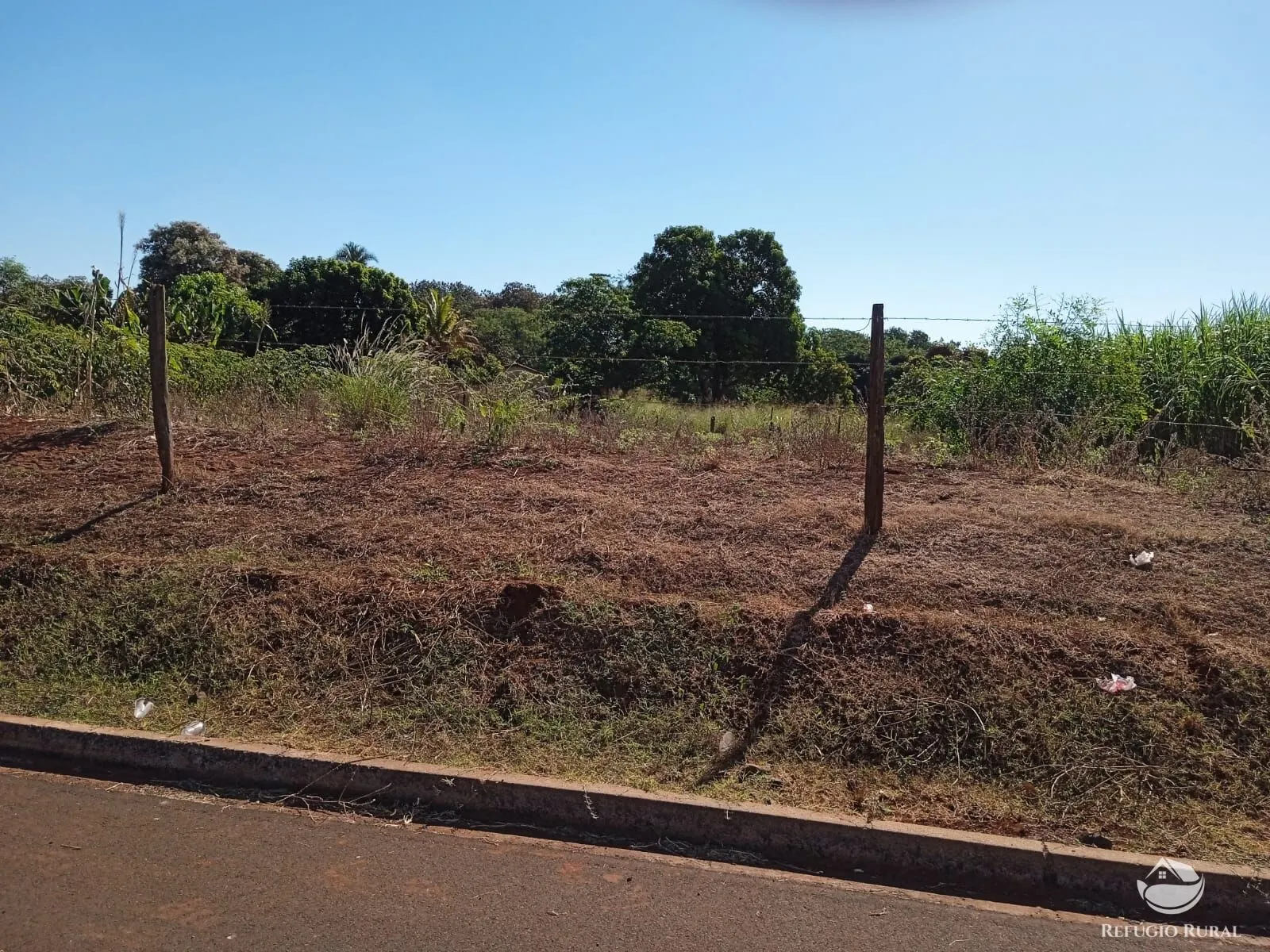 Sítio à venda de 4 ha em Miguelópolis, SP, Brasil