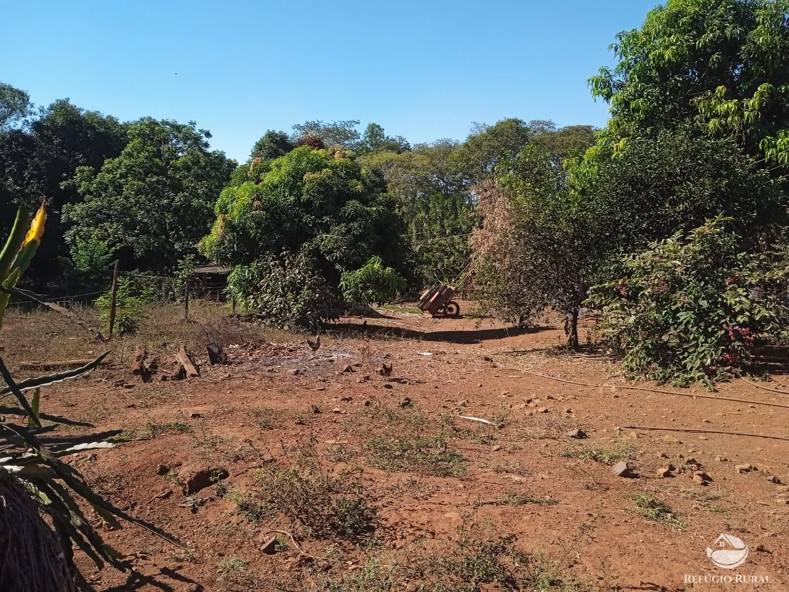 Sítio à venda de 4 ha em Miguelópolis, SP, Brasil