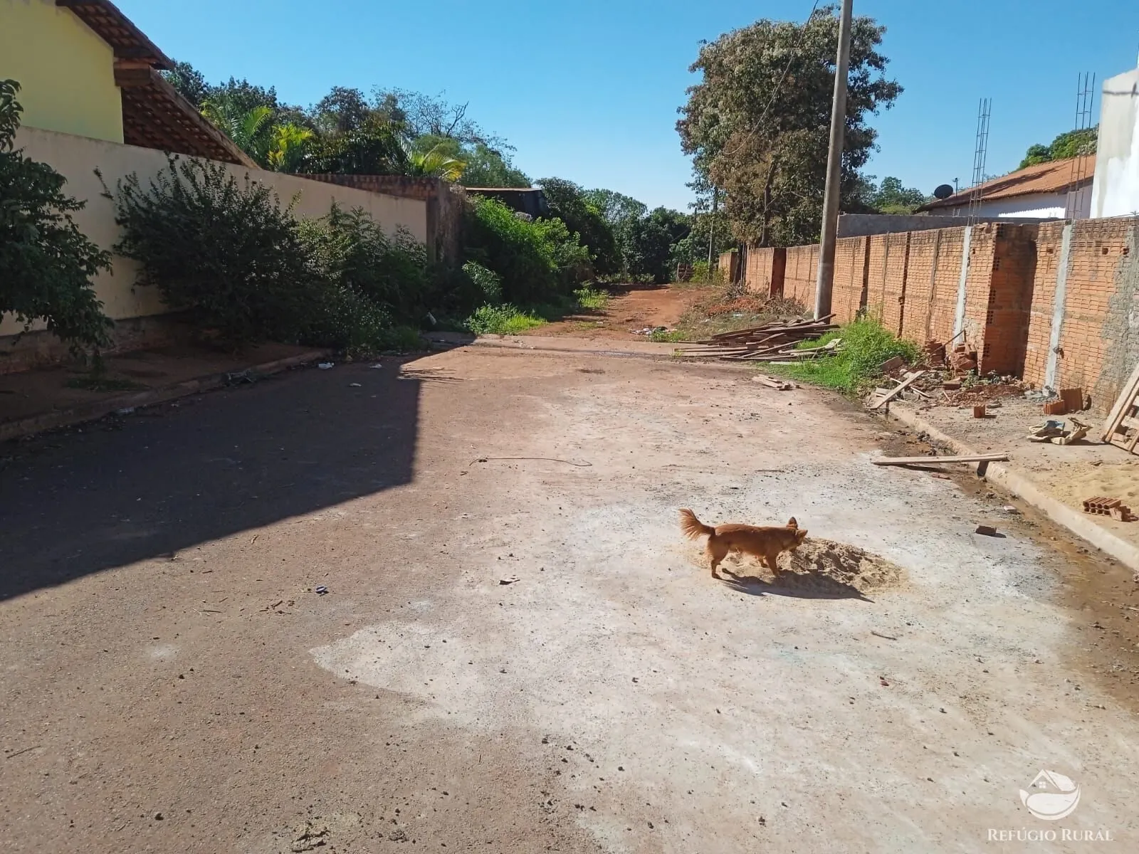 Sítio à venda de 4 ha em Miguelópolis, SP, Brasil