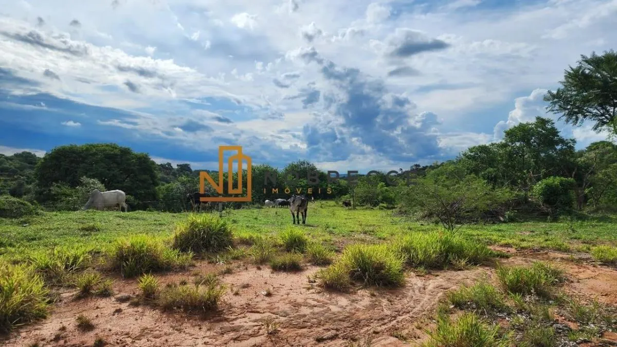 Small farm for sale of 10 acres in Indaiatuba, SP, Brazil