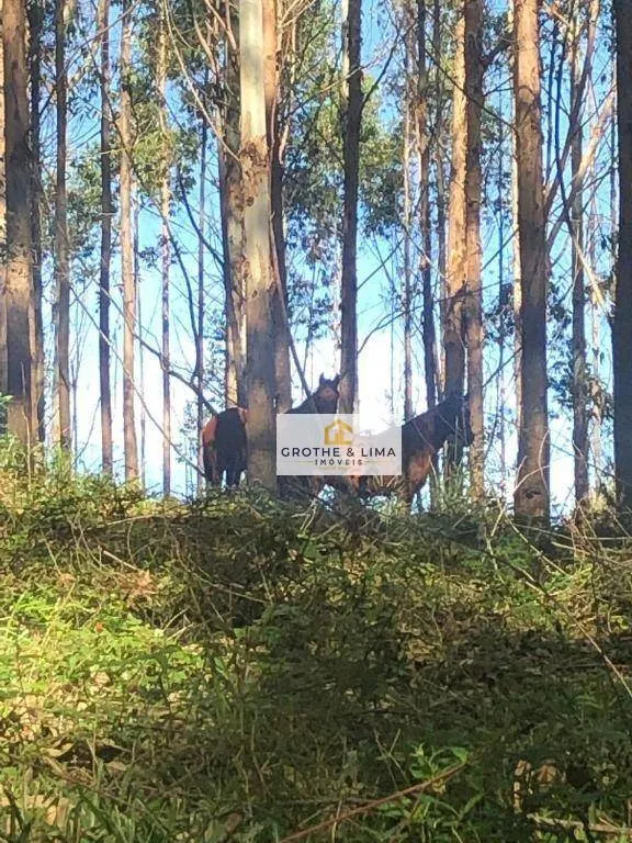 Fazenda à venda de 378 ha em Lagoinha, SP, Brasil