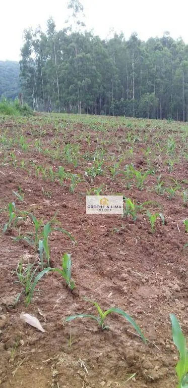 Fazenda à venda de 378 ha em Lagoinha, SP, Brasil