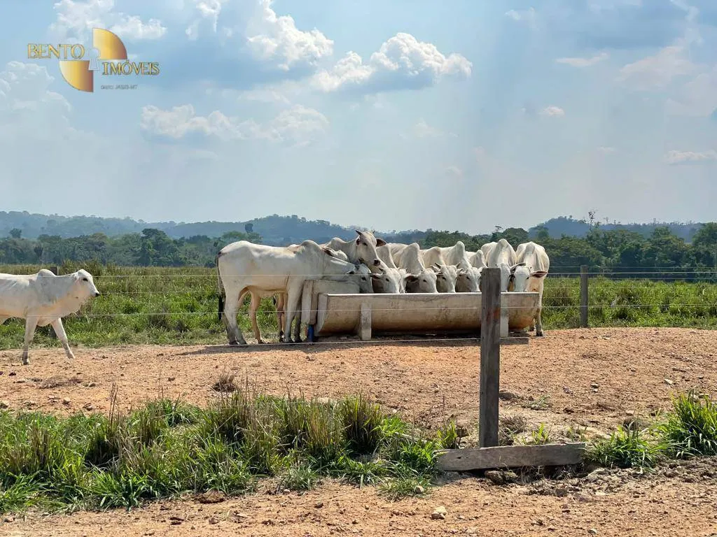 Fazenda à venda de 2.500 ha em Nova Monte Verde, MT, Brasil