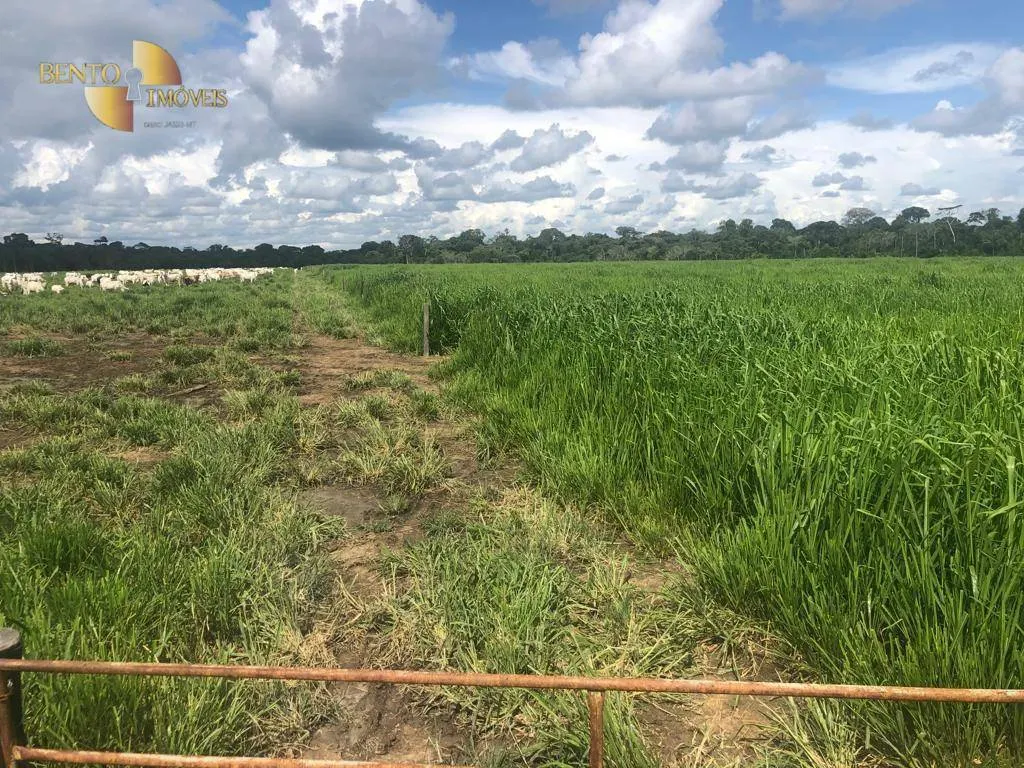 Fazenda à venda de 2.500 ha em Nova Monte Verde, MT, Brasil