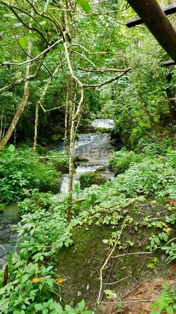 Chácara à venda de 13 ha em Angelina, SC, Brasil