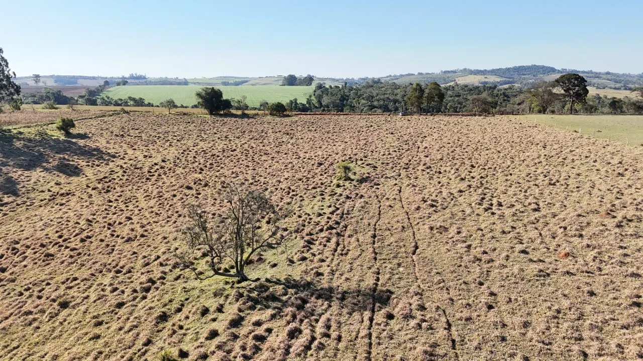 Fazenda à venda de 40 ha em Itapetininga, SP, Brasil