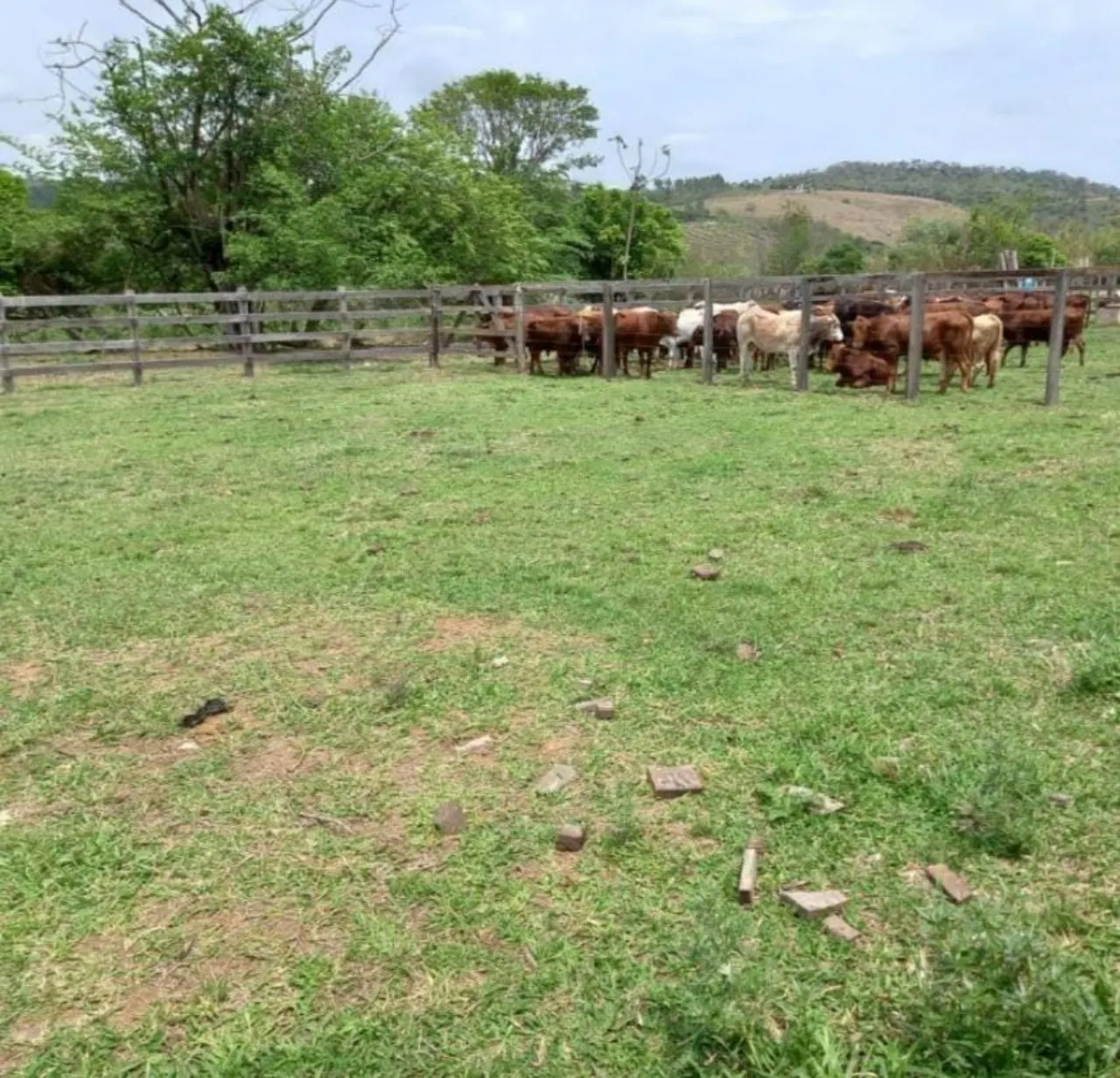 Fazenda à venda de 40 ha em Itapetininga, SP, Brasil