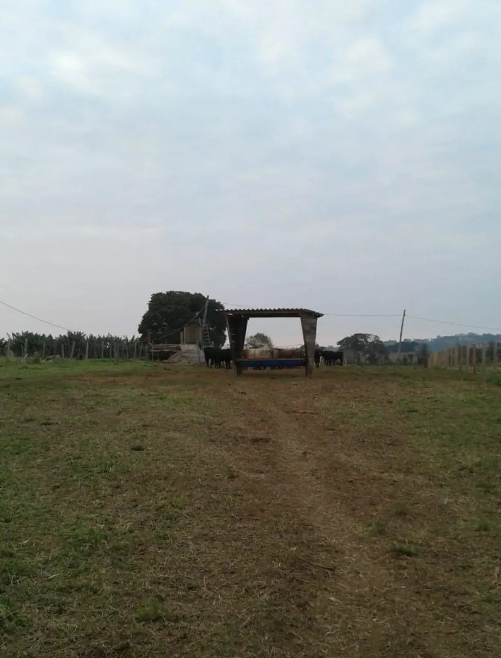 Fazenda à venda de 40 ha em Itapetininga, SP, Brasil