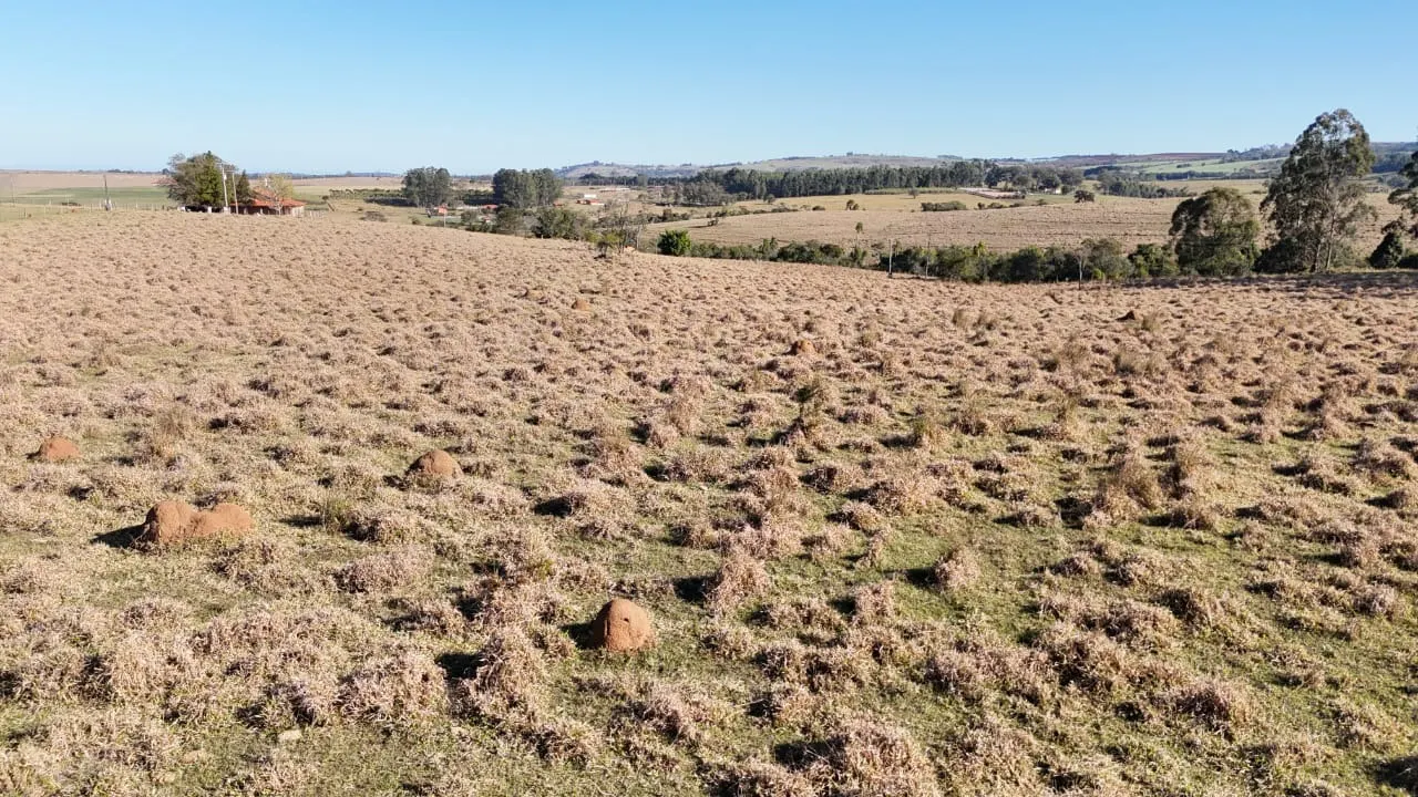 Fazenda à venda de 40 ha em Itapetininga, SP, Brasil