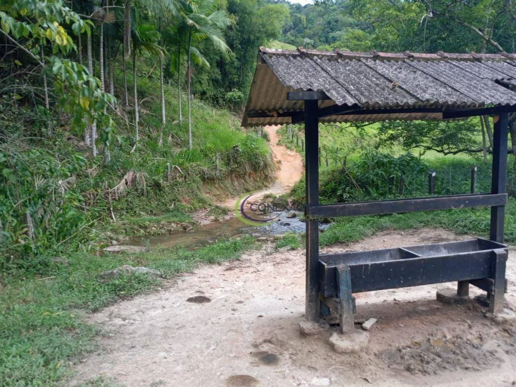 Fazenda à venda de 136 ha em Pindamonhangaba, SP, Brasil