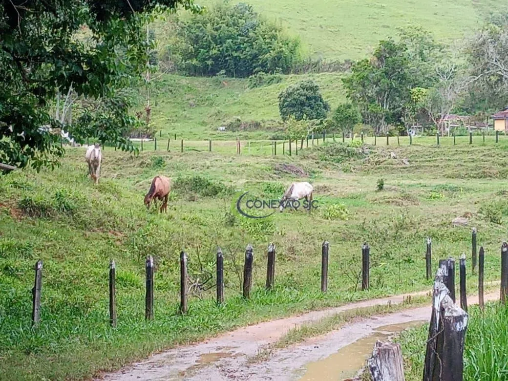 Fazenda à venda de 136 ha em Pindamonhangaba, SP, Brasil