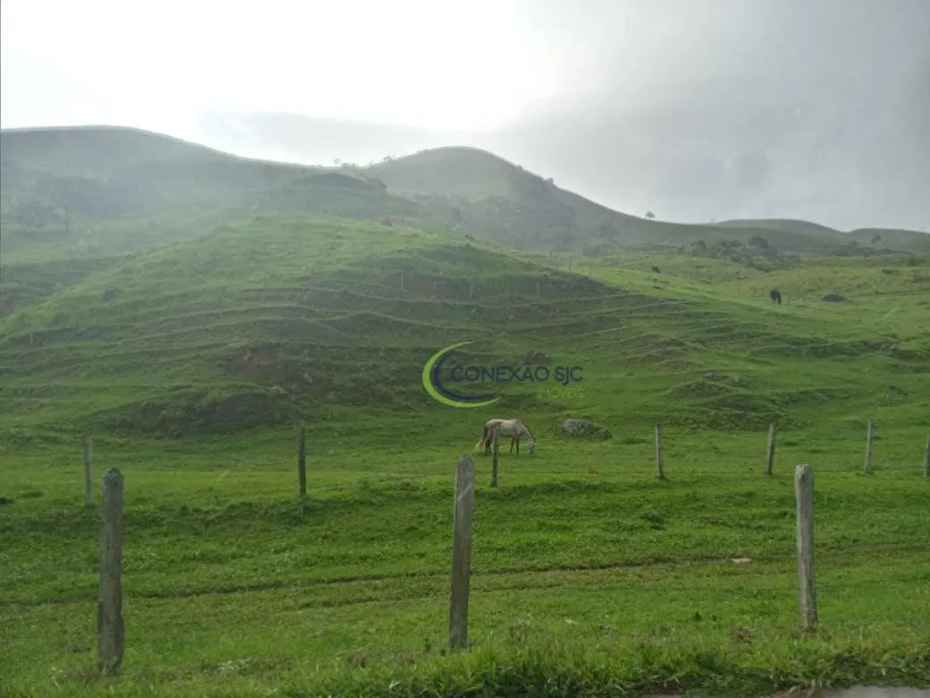 Fazenda à venda de 136 ha em Pindamonhangaba, SP, Brasil