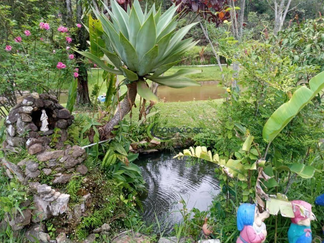 Fazenda à venda de 136 ha em Pindamonhangaba, SP, Brasil