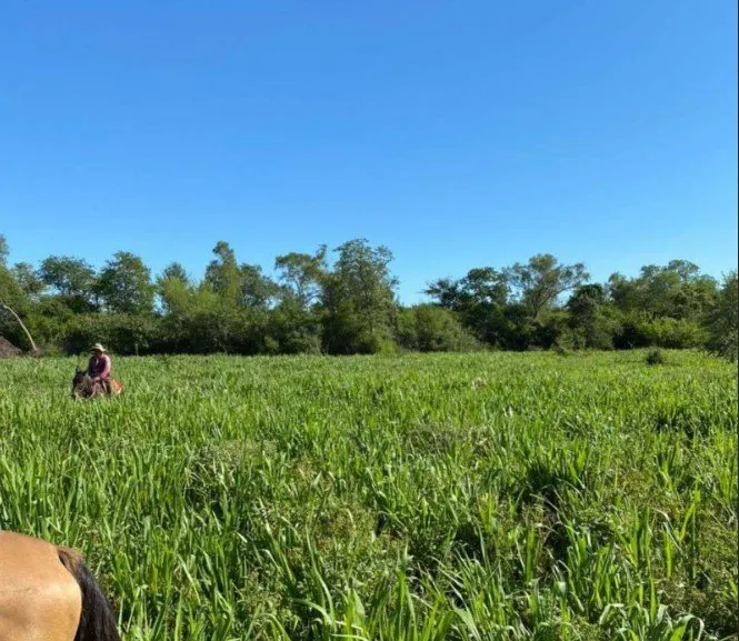 Fazenda à venda de 4.000 ha em Bahía Negra, Paraguai