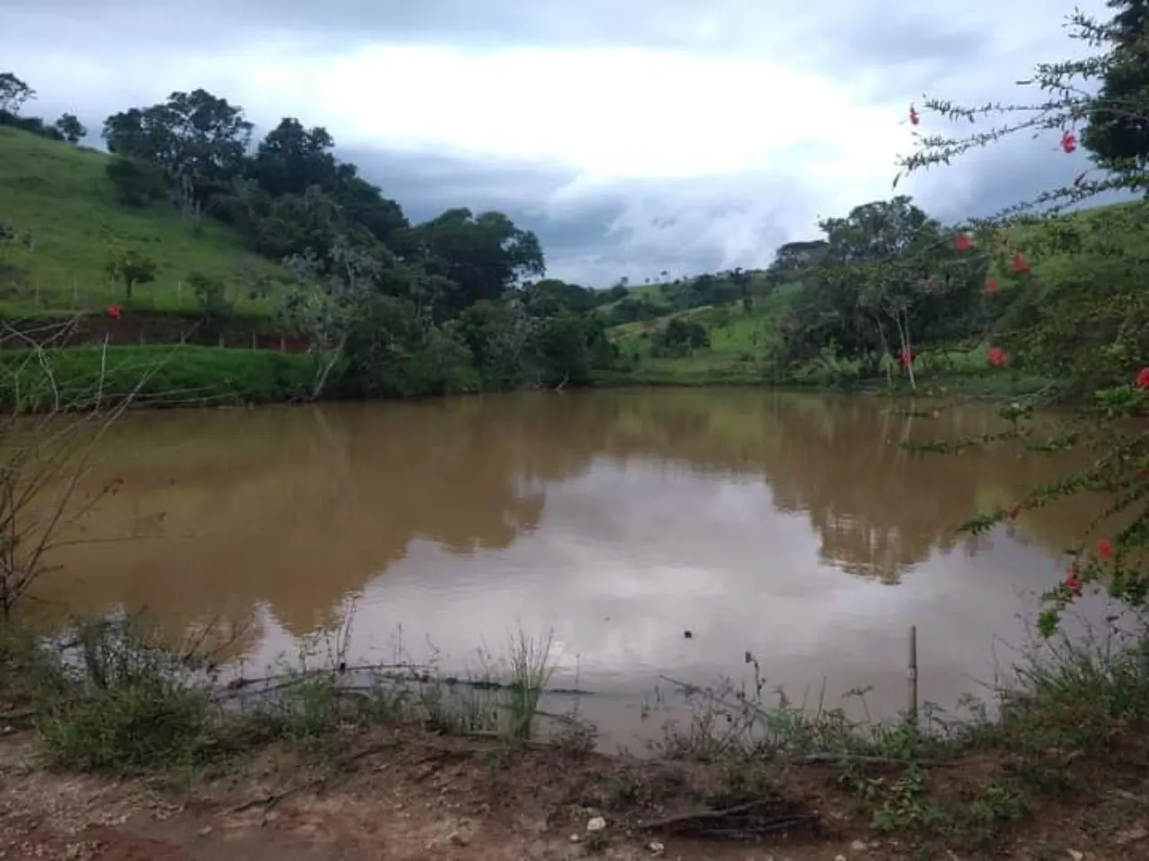 Fazenda à venda de 278 ha em Caçapava, SP, Brasil