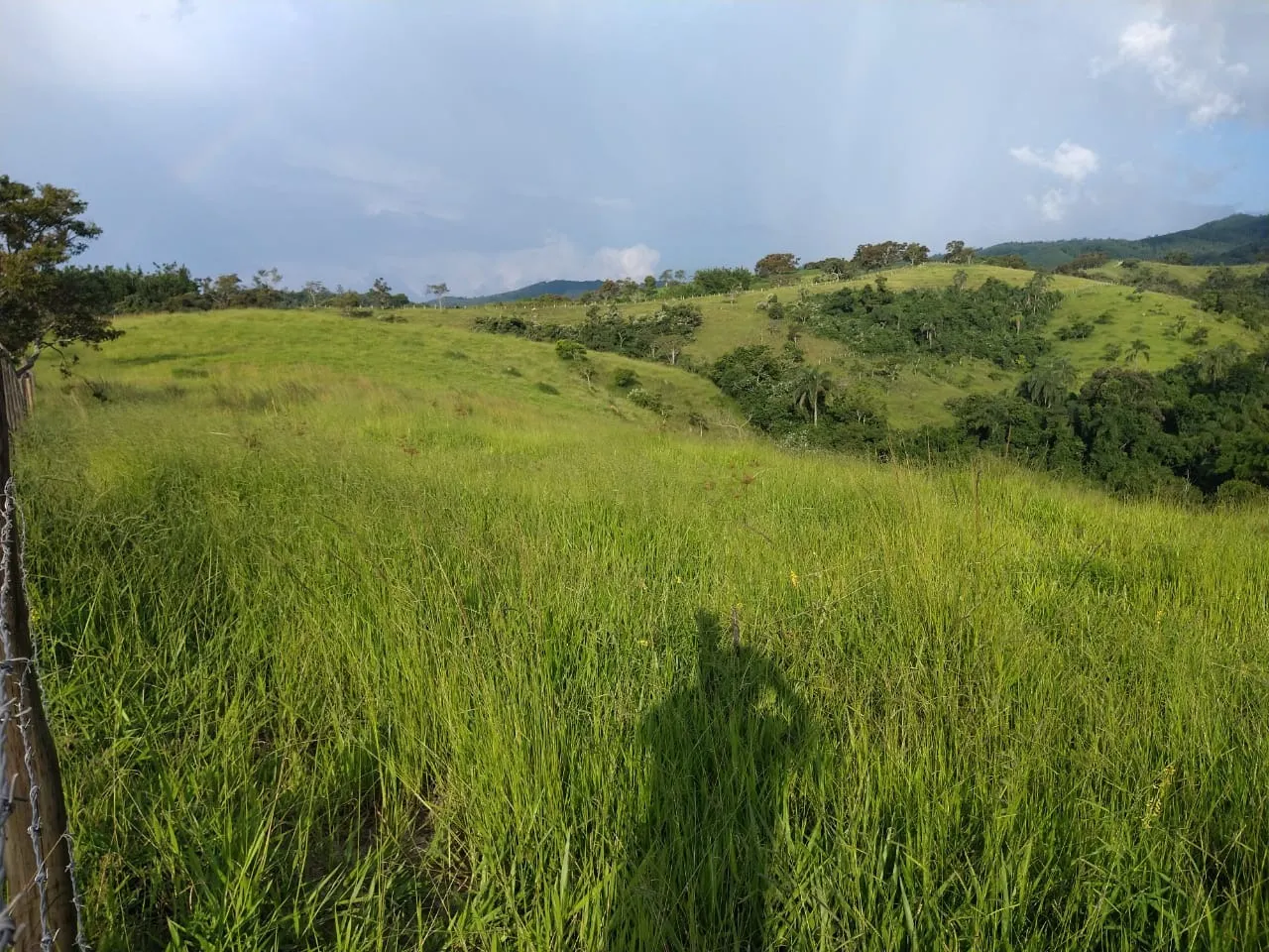 Fazenda à venda de 278 ha em Caçapava, SP, Brasil