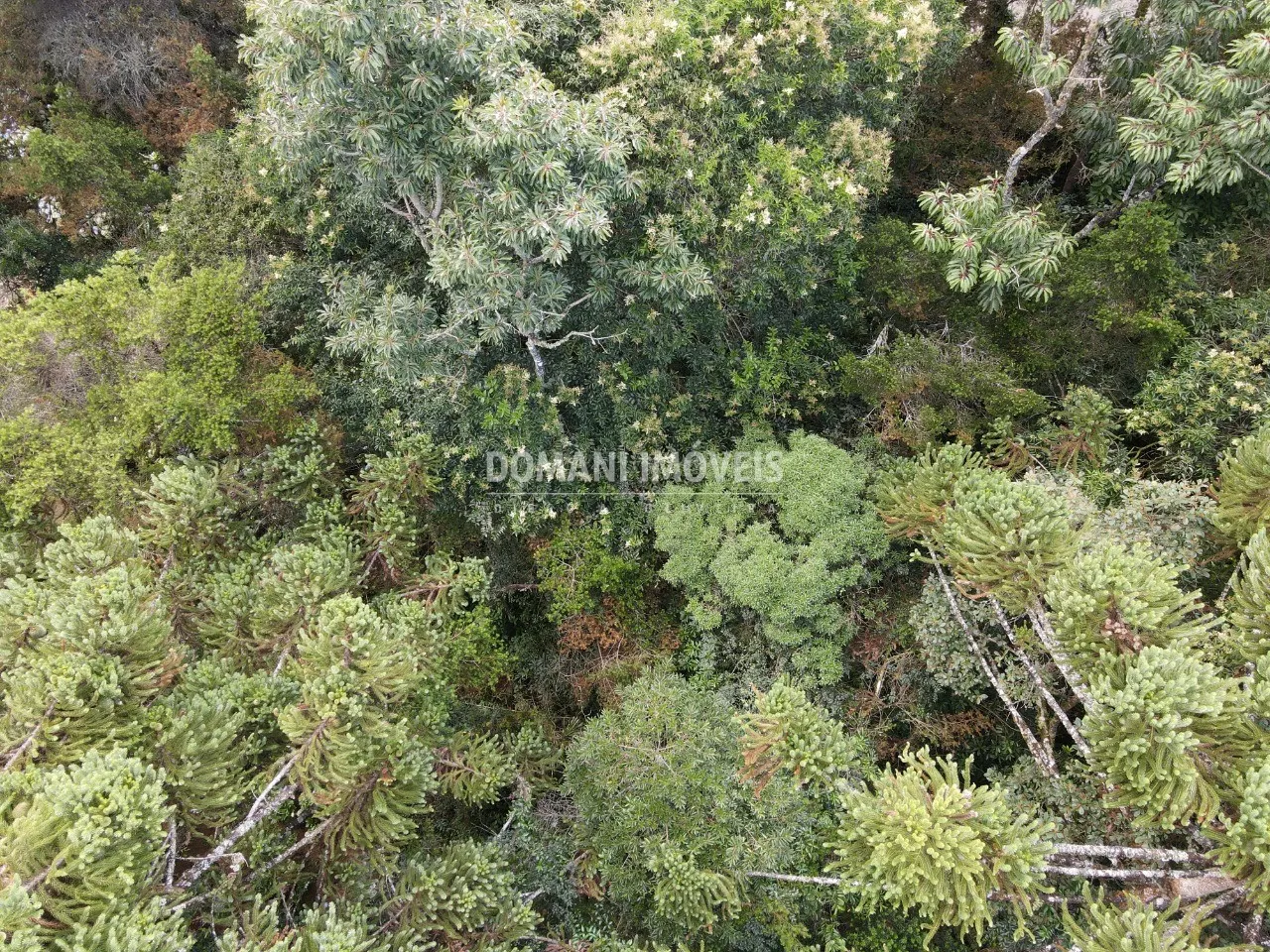 Terreno à venda de 1.070 m² em Campos do Jordão, SP, Brasil