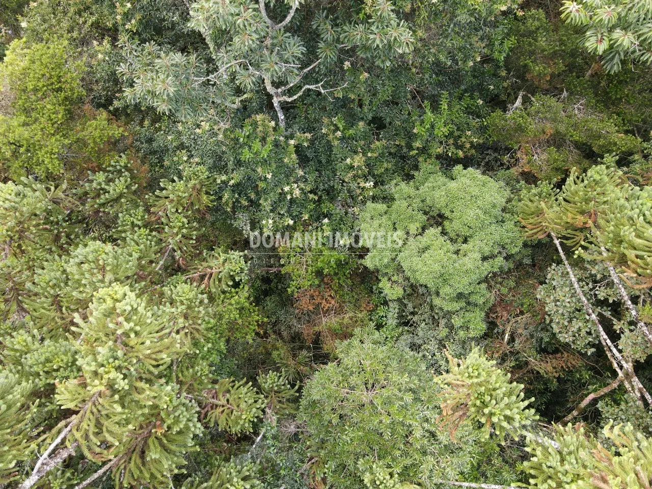 Terreno à venda de 1.070 m² em Campos do Jordão, SP, Brasil