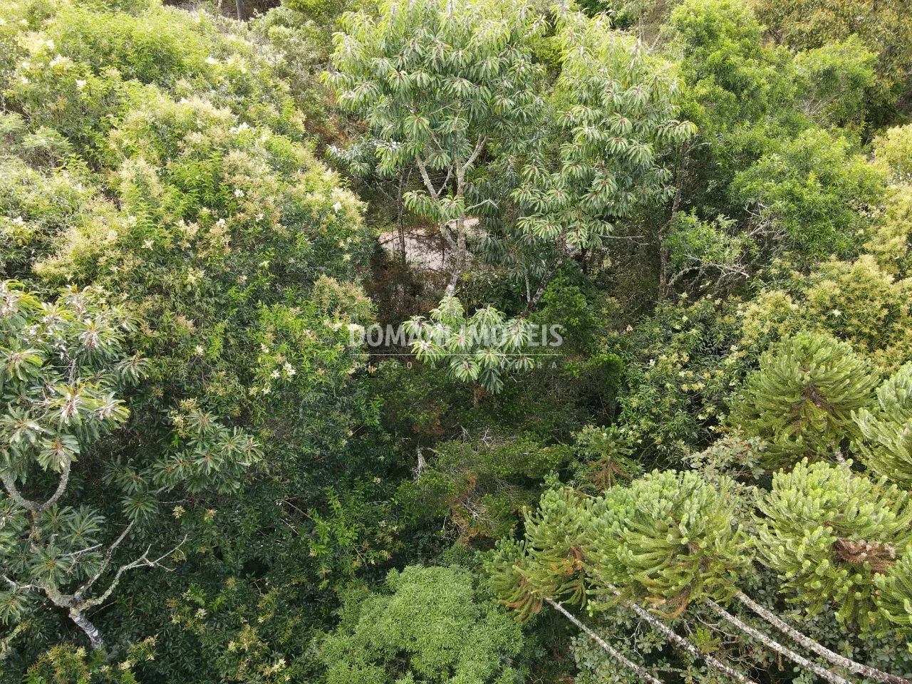 Terreno à venda de 1.070 m² em Campos do Jordão, SP, Brasil
